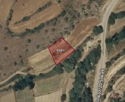 KALINKOZ ÇAMELİ  YATIRIMLIK TARLA 