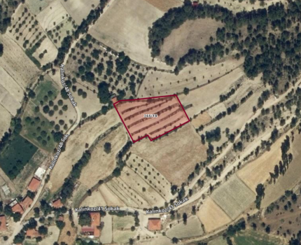 ÇAMELİ KALINKOZ CEVİZLİ BAHÇE