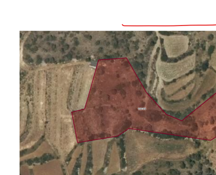 KALINKOZ ÇAMELİ  YATIRIMLIK TARLA 7000M2