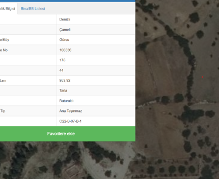 GÜRSU ÇAMELİ DENİZLİ